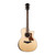 Taylor 814ce LTD Cocobolo Acoustic-Electric - Natural