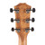 Taylor 414ce Studio Special Edition Acoustic-Electric - Honeyburst