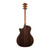 Taylor 814ce Next Generation - Natural