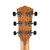 Used Taylor 514e Gold Label Super Auditorium Acoustic-Electric - Natural