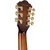 Used Ibanez AE3007FMH 7-String Acoustic-Electric - Tobacco Edge Burst High Gloss