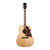 Gibson Hummingbird Special Acoustic-Electric - Satin Natural