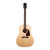 Gibson J-45 Special Acoustic-Electric - Satin Natural