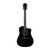 Used Taylor 250ce-BLK DLX 12-String Black 2022