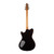 Used Powers Electric A-Type Standard PF42 CamTail - Chroma Chameleon