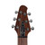 Used Powers Electric A-Type Standard PF42 CamTail - Chroma Chameleon