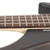 Used Ibanez EHB600WNF Ergonomic Headless Bass - Walnut Flat