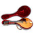 Vintage 1914 Gibson A-1 Mandolin