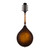 Used Northfield NFMSP-A4 Mandolin Sunburst 2023
