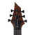Reichardt Guitars Futra 6 Natural