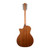 Taylor 354ce Studio Special Edition 12-string Acoustic-Electric - Honeyburst