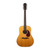 Used Alvarez Yairi DY-80 Canyon Creek 12-String Dreadnought Natural