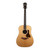 Used Taylor Gold Label 710e Natural 2026