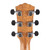 Used Taylor 814e Super Auditorium Natural 2025