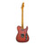 Used Fender Custom Shop Parts Telecaster Pink Paisley 2020
