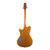 Powers Electric A-Type Premium PF42 CamTail B475 - Nordic Gold Metallic