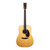 Used Froggy Bottom Model D Dreadnought Adirondak Natural 2005