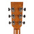 Used Froggy Bottom Model D Dreadnought Adirondak Natural 2005