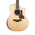 Used Taylor 814ce LTD Cocobolo Acoustic-Electric - Natural