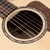 Used Taylor 814ce LTD Cocobolo Acoustic-Electric - Natural