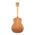 Used Taylor GS Mini-e Special Edition Acoustic-Electric - Honeyburst