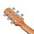 Used Ibanez AAD51CE Acoustic Electric - Natural