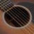 Used Martin GPC Black Walnut Ambertone 2018