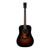 Eastman E2D Deluxe Cedar Sapele Dreadnought Acoustic-Electric - Sunburst