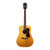 Vintage Guild Bluegrass Jubilee D-40 NT Natural 1979