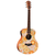 Taylor GS Mini-e Special Edition Acoustic-Electric - Floral Blue