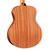 Taylor GS Mini-e Special Edition Acoustic-Electric - Floral Blue