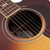 Gibson Parlor Rosewood EC Acoustic-Electric - Rosewood Burst