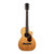 Used Larrivee PV-09 Natural 2008