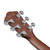 Used Ibanez AEWC16Q Acoustic Electric - Trans Black Sunburst