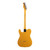 Used Fender American Professional Classic Hotshot Telecaster - Butterscotch Blonde