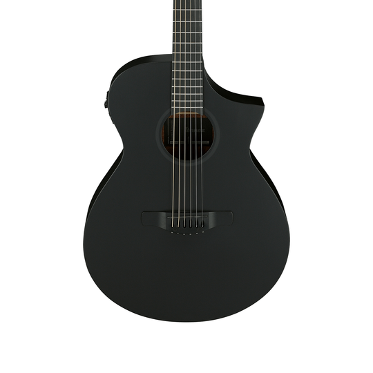 Ibanez AEWC621 Acoustic - Black Out | Cream City Music
