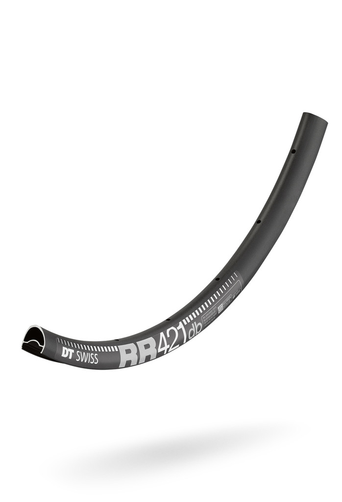 DT RR421 Disc Rim section