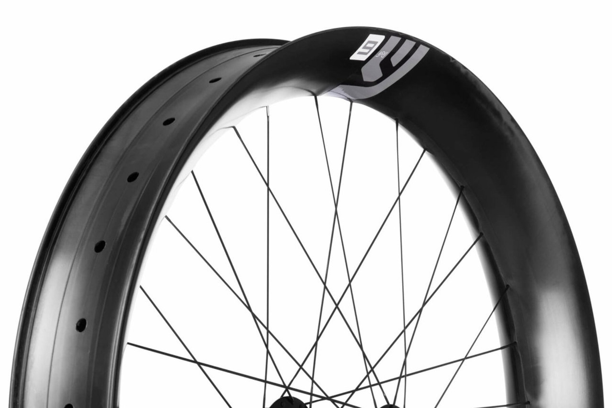 fatbike wheel