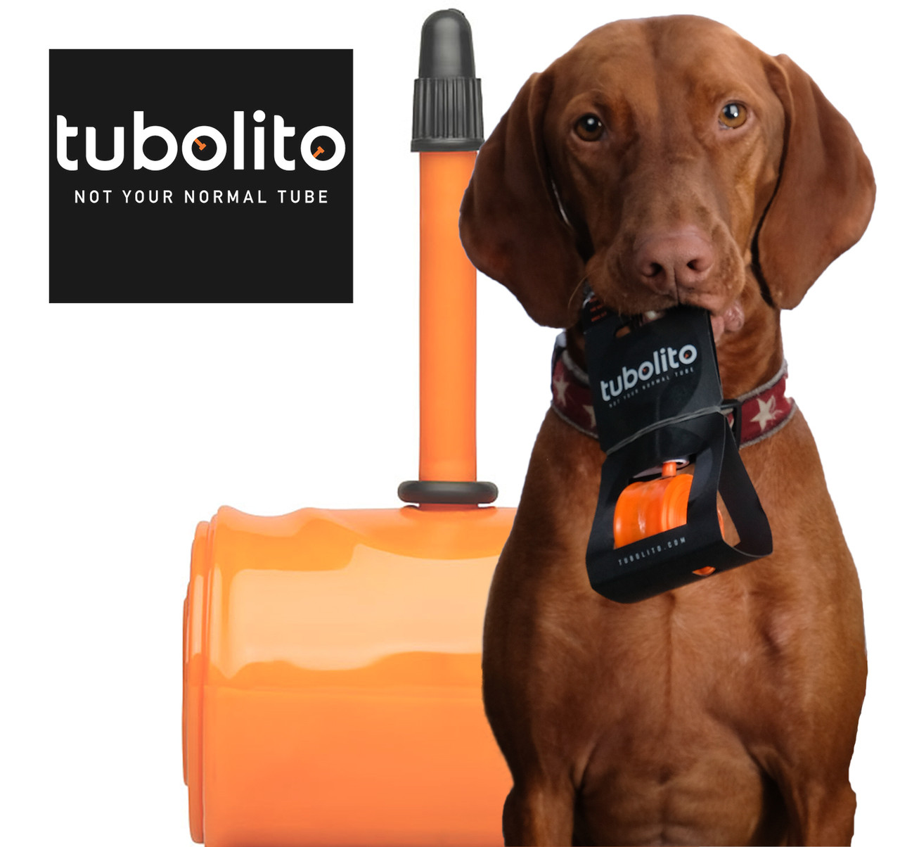 Tubolito Tubes Wheelbuilder