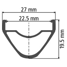 DT Swiss XM 401 Rim - Wheelbuilder