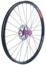 dt swiss carbon rims mtb