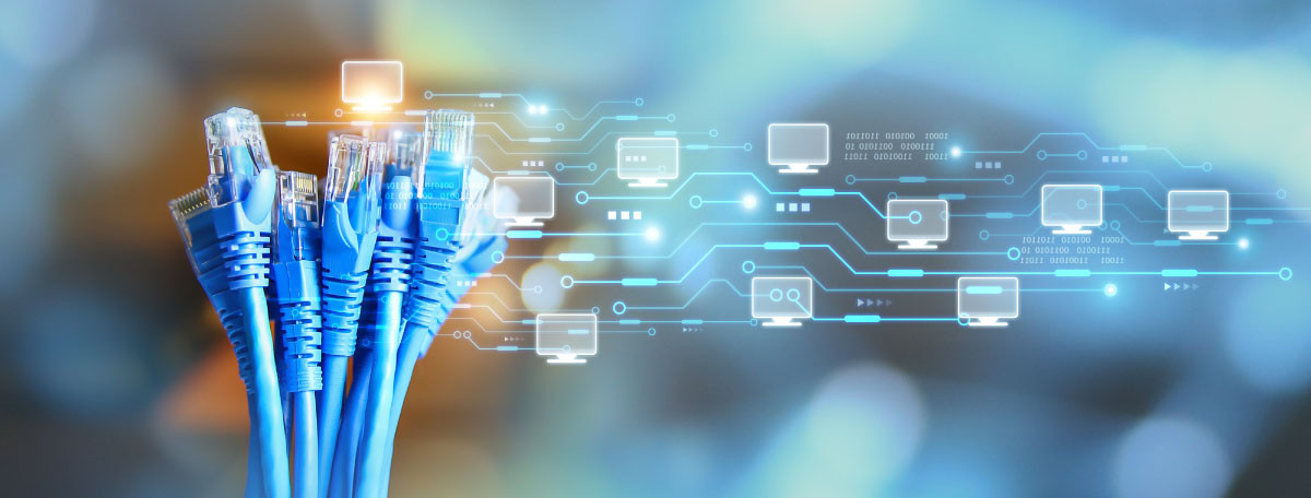 Professional-grade blue data cables designed for high-density networking and long-term durability.