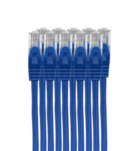 A 10-pack of 5m blue Datamaster Cat6 patch cables neatly bundled together, showing the RJ45 ends.
