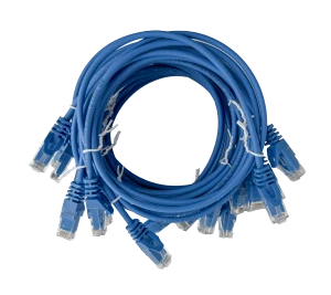 Ten blue Cat6 patch cables coiled together with cable ties, RJ45 connectors fanned out, 1m length