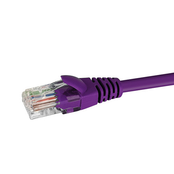 Close-up profile of the RJ45 connector and Purple jacket on a 0.25m Datamaster Cat6 U/UTP patch cable.