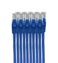 A 10-pack of 1m blue Datamaster Cat6 patch cables neatly bundled together, showing the RJ45 ends.