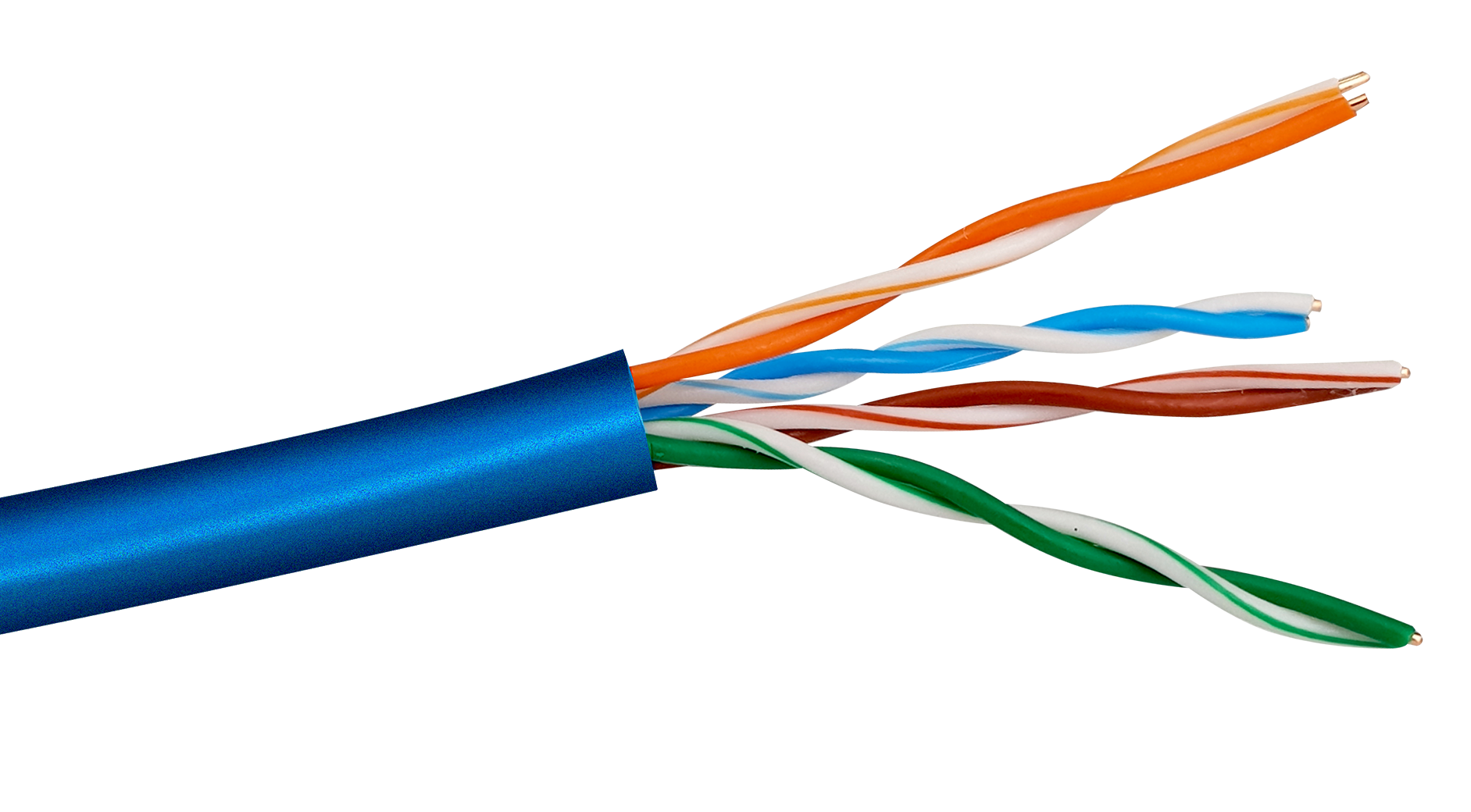 Close-up side view of the blue Cat5e Solid UTP cable jacket showing the internal cables.