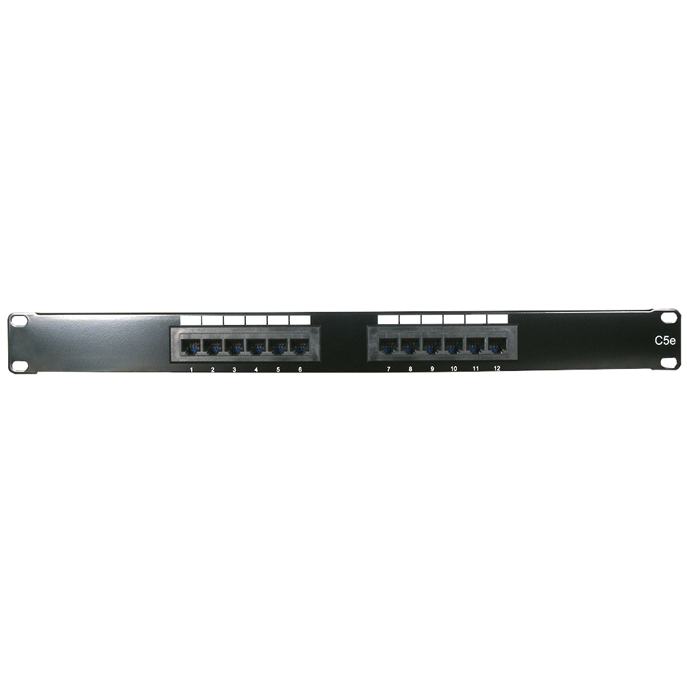Cat-5E 12 port Panel