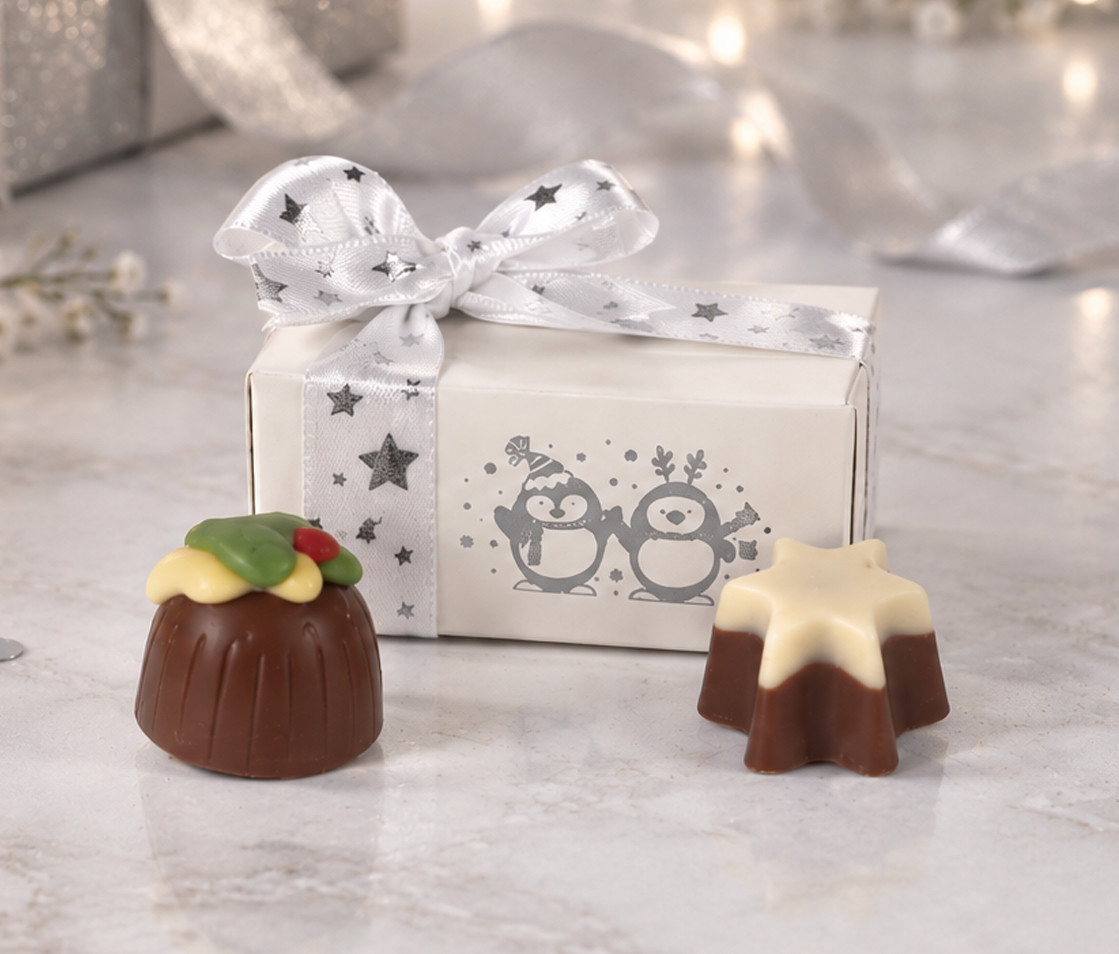 6007 Silver Merry Christmas 2 Chocolate Gift Box with Penguins