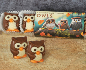 Chocolate Owls - Milk Chocolate Owls with Praline Filling